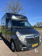 Prachtige en Luxe STX paardencaminotette! 2019 - Automaat!, Enlèvement