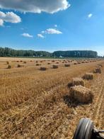 Kleine balen stro 2025, Enlèvement