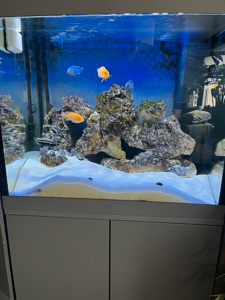 Aquarium lido200, Animaux & Accessoires, Poissons | Aquariums & Accessoires, Comme neuf, Enlèvement