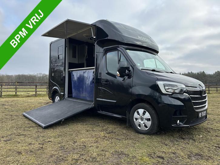 Roelofsen Parados Sport Renault 2-paards paardenvrachtwagen, Dieren en Toebehoren, Paarden en Pony's | Trailers en Aanhangwagens