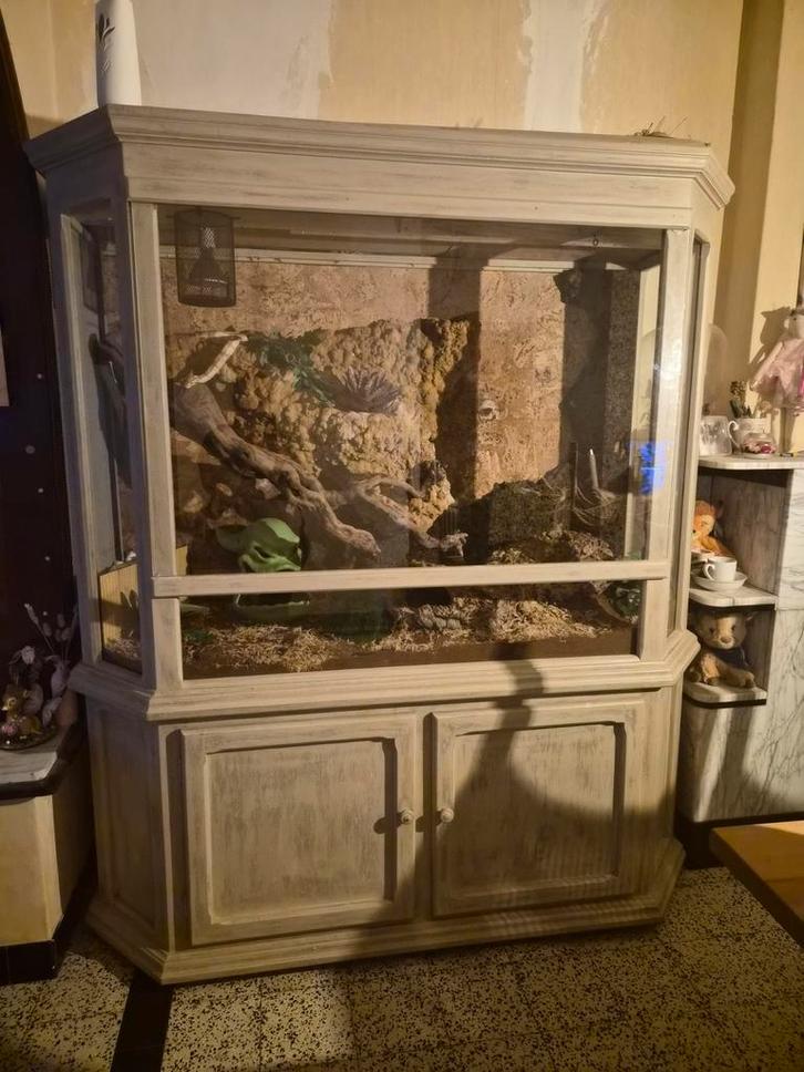 Terrarium 165x190x70, Dieren en Toebehoren, Reptielen en Amfibieën | Toebehoren, Gebruikt, Terrarium of Paludarium, Ophalen