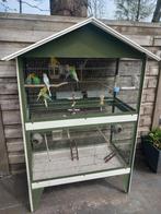 Kooi + 12 grasparkieten, Dieren en Toebehoren, Ophalen