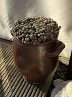 Bruine smoutpot, Tuin en Terras, Tuinvazen, Ophalen, Zo goed als nieuw