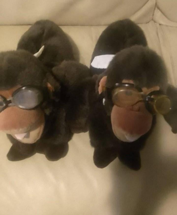 Apen pantoffels, Ophalen