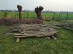 Bois de chauffage en saule, Enlèvement, Autres essences de bois, Troncs d'arbres