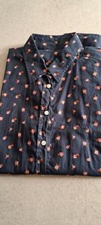 Dames bloesje lange mouw maat 38, Kleding | Dames, Ophalen of Verzenden, Zo goed als nieuw, Maat 38/40 (M), Overige kleuren