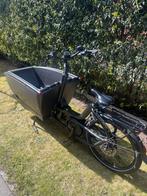 Bakfiets Urban Arrow, Autres marques, Enlèvement, Utilisé, 2 enfants
