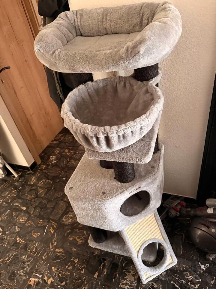 Grand arbre à chat, Animaux & Accessoires, Meubles griffoirs pour chats, Utilisé, Enlèvement