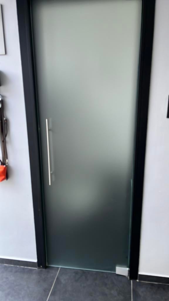 Porte vitrée/opaque, Bricolage & Construction, Enlèvement, Porte pliante, Comme neuf, Verre