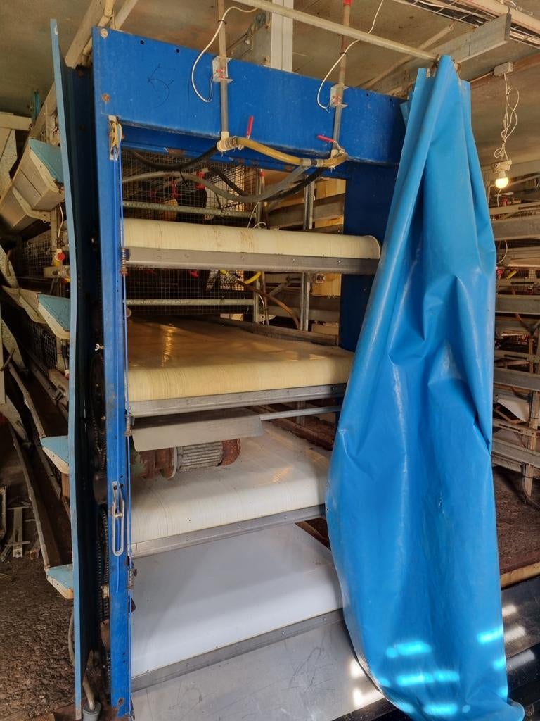 Tecno kip hokken, Ophalen of Verzenden