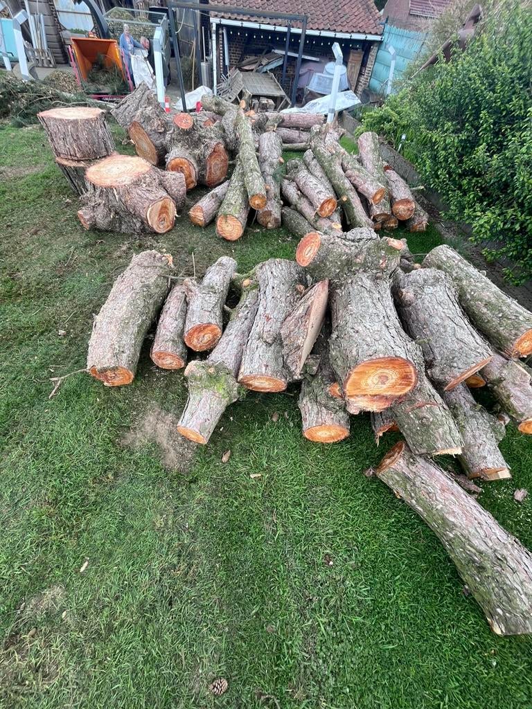 Houtstammen (den), Tuin en Terras, Brandhout, Ophalen