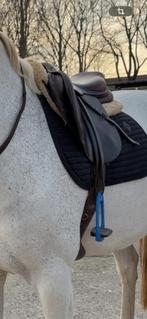 Cwd zadel, Dieren en Toebehoren, Paarden en Pony's | Zadels, Ophalen, Gebruikt, Springen