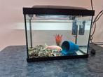 Aquarium 20 liter incl toebehoren, Dieren en Toebehoren, Ophalen