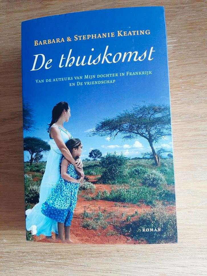 De thuiskomst - Stephanie Keating, Boeken, Romans, Ophalen