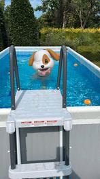 Zwembad intex, Ophalen, 200 tot 300 cm, 80 tot 120 cm, Zo goed als nieuw