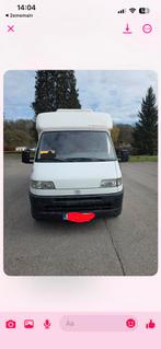 Mobilhome fiat ducato, Entreprise, Fiat