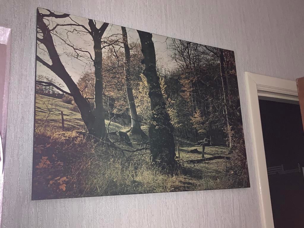 Bomen landschap, Ophalen