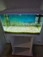 Beau  aquarium blanc avec meuble comme neuf neuf, Enlèvement, Neuf