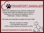 Transport d'animaux vers vétérinaire, clinique, toilettage,., Services & Professionnels, Se rend à domicile, Soins
