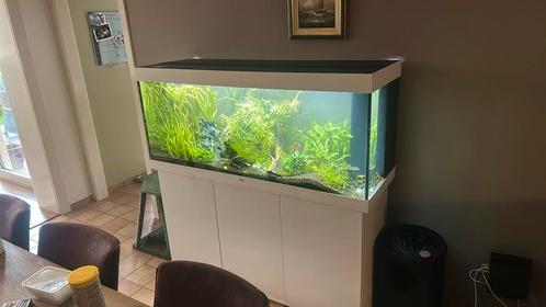 Juwel 450l wit met inwoners, Dieren en Toebehoren, Vissen | Aquaria en Toebehoren, Zo goed als nieuw, Ophalen