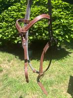Futurity Knot Western Hoofdstel, Dieren en Toebehoren, Paarden en Pony's | Hoofdstellen en Tuigage, Verzenden, Gebruikt, Western