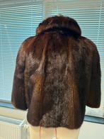 Donkerbruine, glanzende nerts,maat 38/40, Kleding | Dames, Jassen | Winter, Ophalen of Verzenden, Zo goed als nieuw, Maat 38/40 (M)