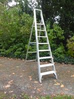 professionele trapladder solide met 8 treden, Doe-het-zelf en Bouw, Ladders en Trappen, Ophalen, Gebruikt, Opvouwbaar of Inschuifbaar