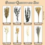 100 morceaux de fleurs séchées | herbe de pampa | Nouveau, Maison & Meubles, Accessoires pour la Maison | Fleurs séchées, -, -