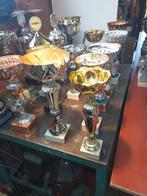 Trofeen - bekers, Ophalen, Zo goed als nieuw