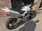 TE KOOP — Honda Hornet 600 — Jaar 2004 — Look 2008, Motoren, Motoren | Honda, Particulier, 4 cilinders