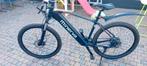 Electrische mountainbike, Fietsen en Brommers, Elektrische fietsen, Ophalen, Zo goed als nieuw