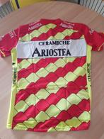 Retro vintage wielertrui Ariostea, Ophalen of Verzenden, Gebruikt, Bovenkleding