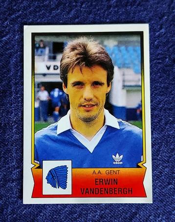 Panini sticker voetbal ' FB 1992 - Erwin Vandenbergh ' nieuw beschikbaar voor biedingen