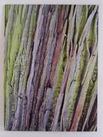 Foto NATURE op geborsteld aluminium, Antiek en Kunst, Kunst | Tekeningen en Fotografie, Ophalen of Verzenden