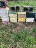 Miel ruchette apiculture ruche mini plus abeilles, Articles professionnels