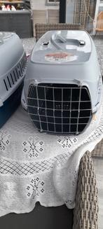 Boite transport chien. NEUVE, Animaux & Accessoires, Enlèvement, Neuf