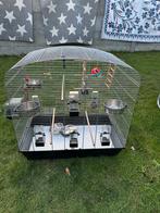 Vogelkooi groot met accesiores, Dieren en Toebehoren, Ophalen, Zo goed als nieuw, Metaal, Vogelkooi