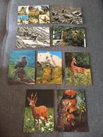 Lotje oude postkaarten Alpen Dieren, Verzamelen, Ophalen of Verzenden, 1960 tot 1980, Ongelopen