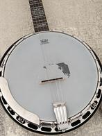Banjo fender, Muziek en Instrumenten, Snaarinstrumenten | Banjo's, Ophalen of Verzenden, Gitaarbanjo