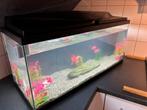 Aquarium met alles er bij en dieren, Dieren en Toebehoren, Overige typen