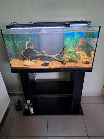 Aquarium 80 x 29,5 x 36 beschikbaar voor biedingen