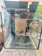 Kubus aquarium 60 liter, Ophalen of Verzenden, Zo goed als nieuw