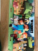 Naambord minecraft, Ophalen of Verzenden, Zo goed als nieuw