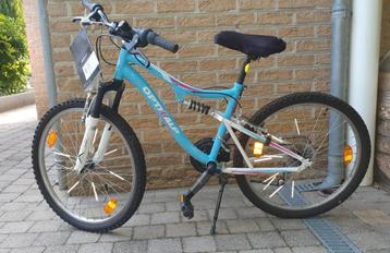 OptimAlp Tetra Girl beschikbaar voor biedingen