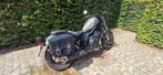 Honda Rebel 500 CMX, Particulier