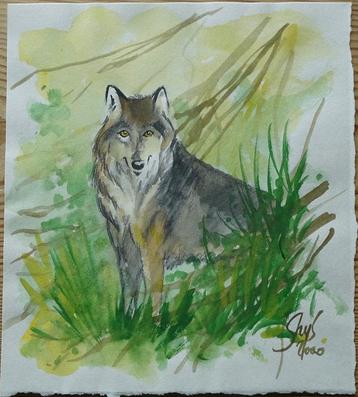 Illustration Loup Bruno Ghys, Bruno Ghys, Une BD, Comme neuf, Enlèvement