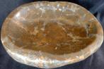 Vide poche fossile Septaria de 6.6kg, Ophalen, Fossiel