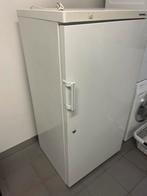 Drank ijskast Liebherr, Electroménager, Congélateurs, 160 cm ou plus, Enlèvement, Utilisé, 60 à 90 cm