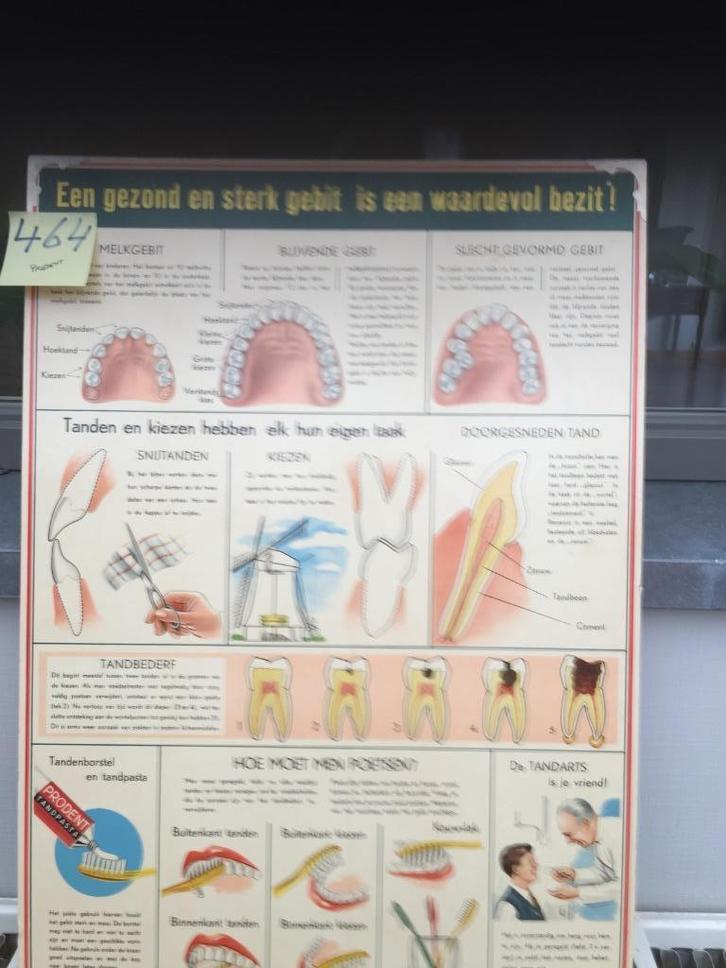 Retro schoolkaart - Gezond gebit - Kaart 464, Huis en Inrichting, Woonaccessoires | Wanddecoraties, Gebruikt, Ophalen of Verzenden