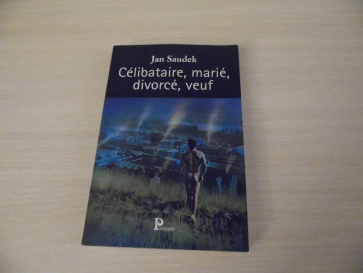 CÉLIBATAIRE, MARIÉ, DIVORCÉ, VEUF      JAN SAUDEK, Boeken, Biografieën, Zo goed als nieuw, Overige, Ophalen of Verzenden